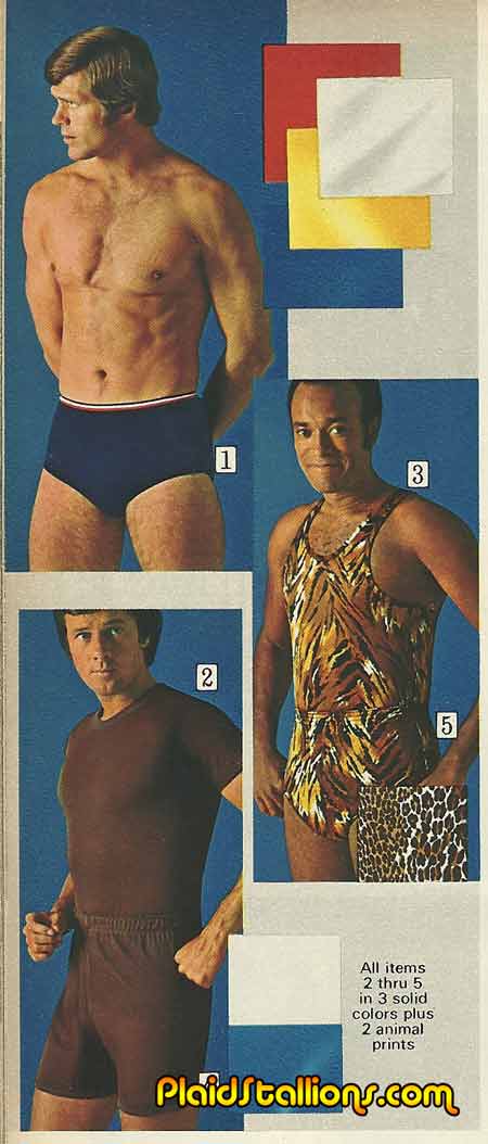 Plaid Stallions : Rambling and Reflections on '70s pop culture: The  Infamous Sears 1975 Peek-a-Boo Catalog Controversey
