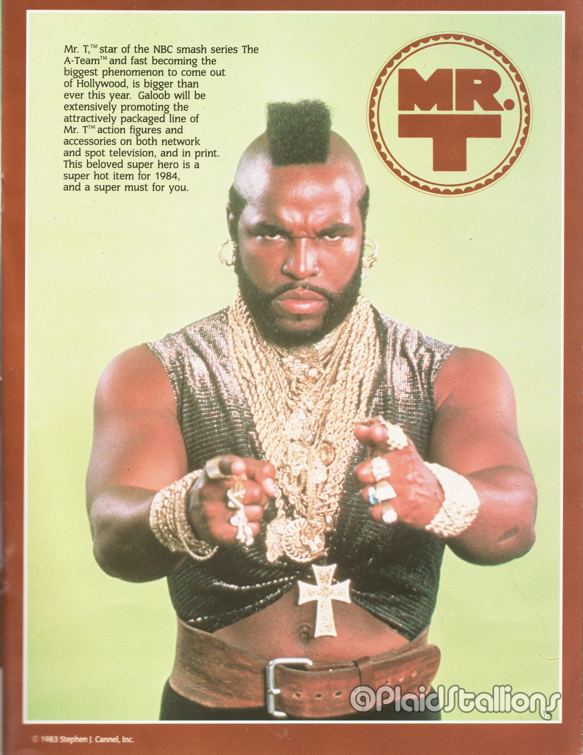 1984 Galoob Mr.T Catalog - PS